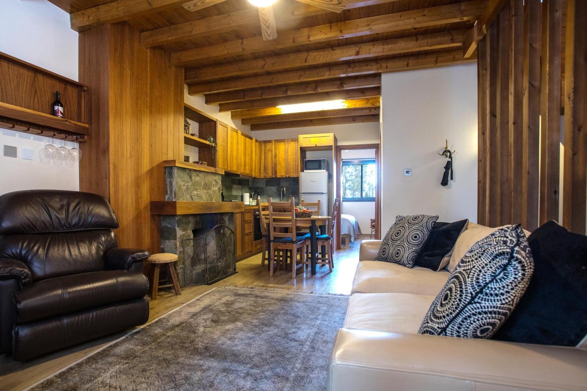 Cozy Mountain Apartment In Платрес Экстерьер фото